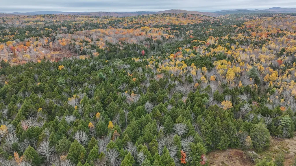 Lot 3-b West Branch Road Mariaville ME 04605