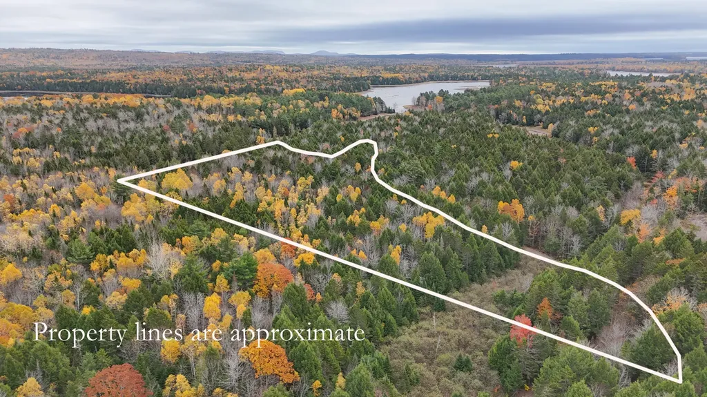 Lot 3-b West Branch Road Mariaville ME 04605