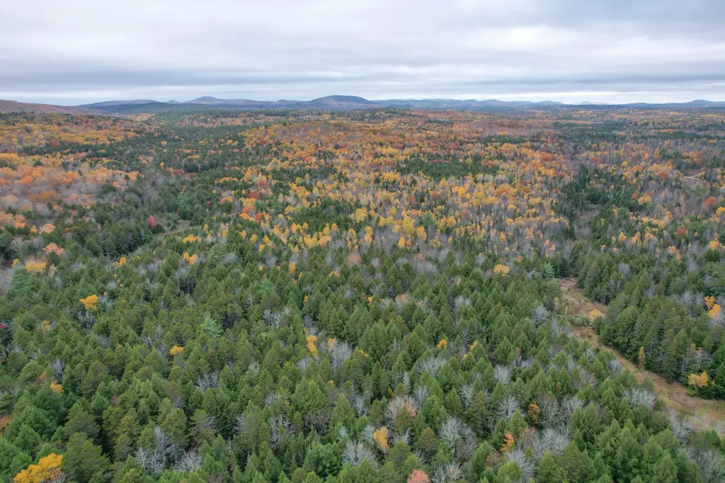 Lot 3-b West Branch Road Mariaville ME 04605
