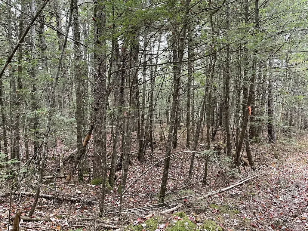 Lot 3-b West Branch Road Mariaville ME 04605