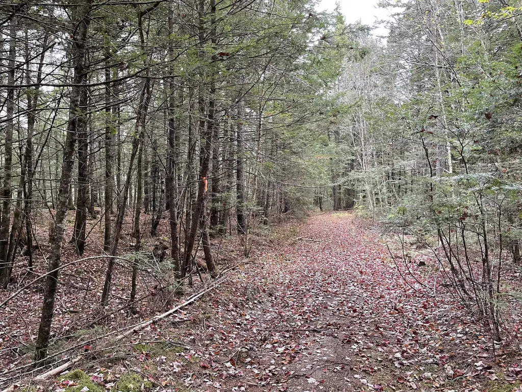 Lot 3-b West Branch Road Mariaville ME 04605