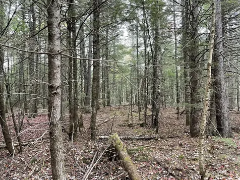 Lot 3-b West Branch Road Mariaville ME 04605
