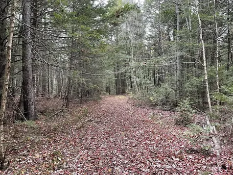Lot 3-b West Branch Road Mariaville ME 04605