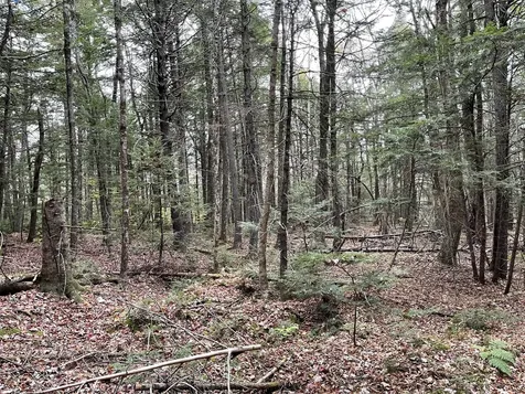 Lot 3-b West Branch Road Mariaville ME 04605
