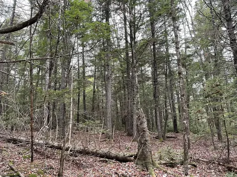 Lot 3-b West Branch Road Mariaville ME 04605
