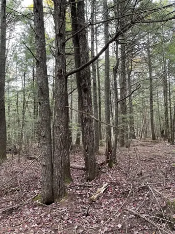 Lot 3-b West Branch Road Mariaville ME 04605