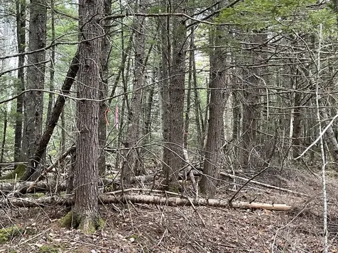 Lot 3-b West Branch Road Mariaville ME 04605