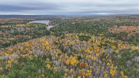 Lot 3-b West Branch Road Mariaville ME 04605