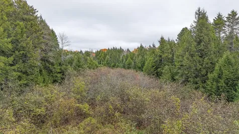 Lot 3-b West Branch Road Mariaville ME 04605
