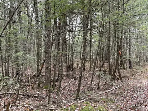 Lot 3-b West Branch Road Mariaville ME 04605