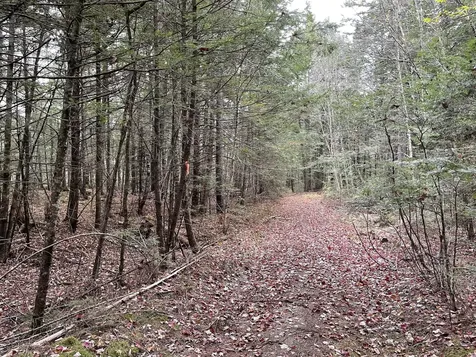 Lot 3-b West Branch Road Mariaville ME 04605