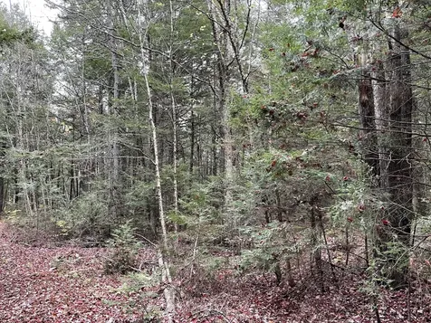 Lot 3-b West Branch Road Mariaville ME 04605