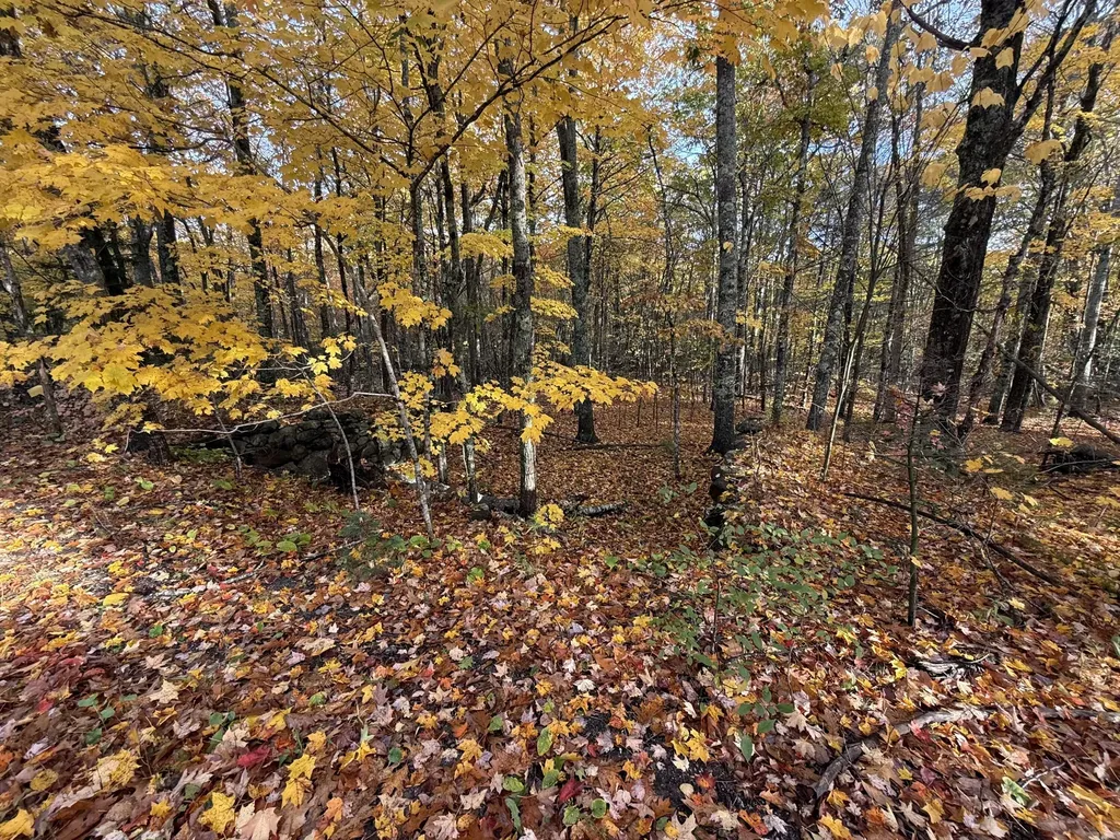 Tbd Map 15, Lot 150 Mt. Pleasant Street Rockport ME 04856