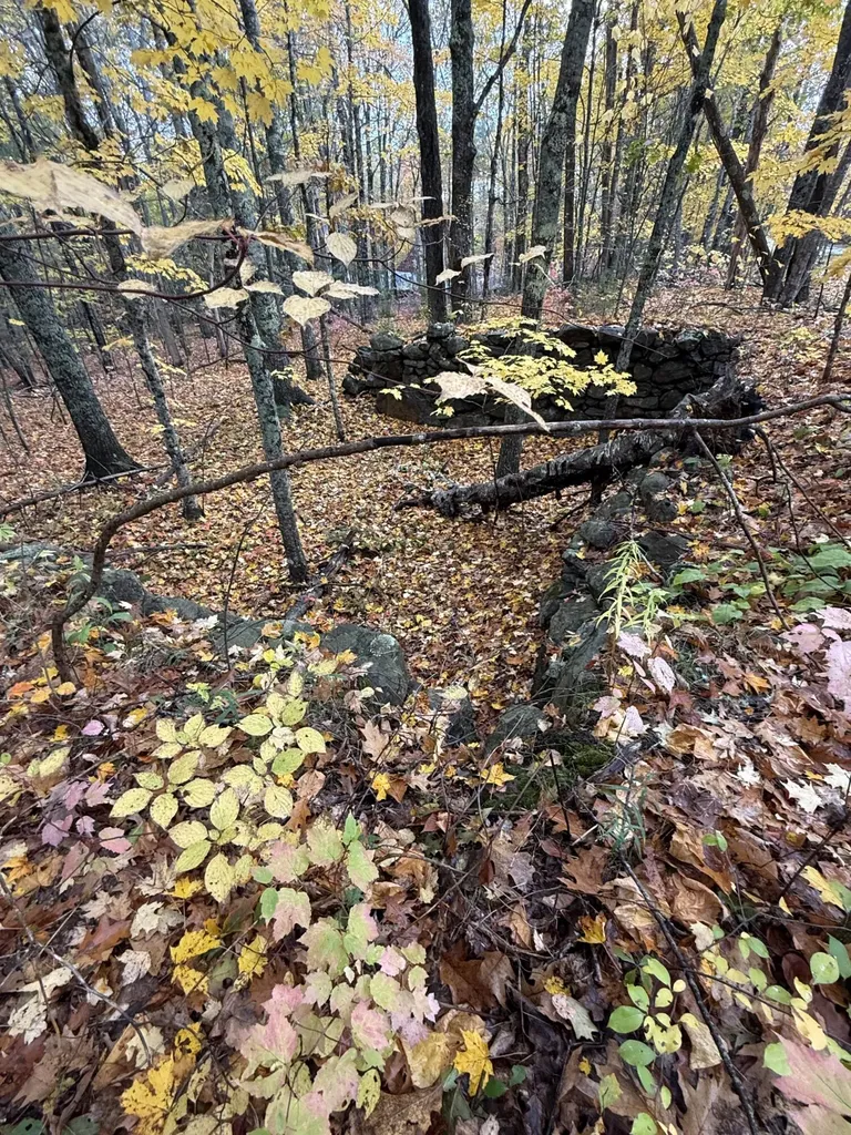 Tbd Map 15, Lot 150 Mount Pleasant Street Rockport ME 04856