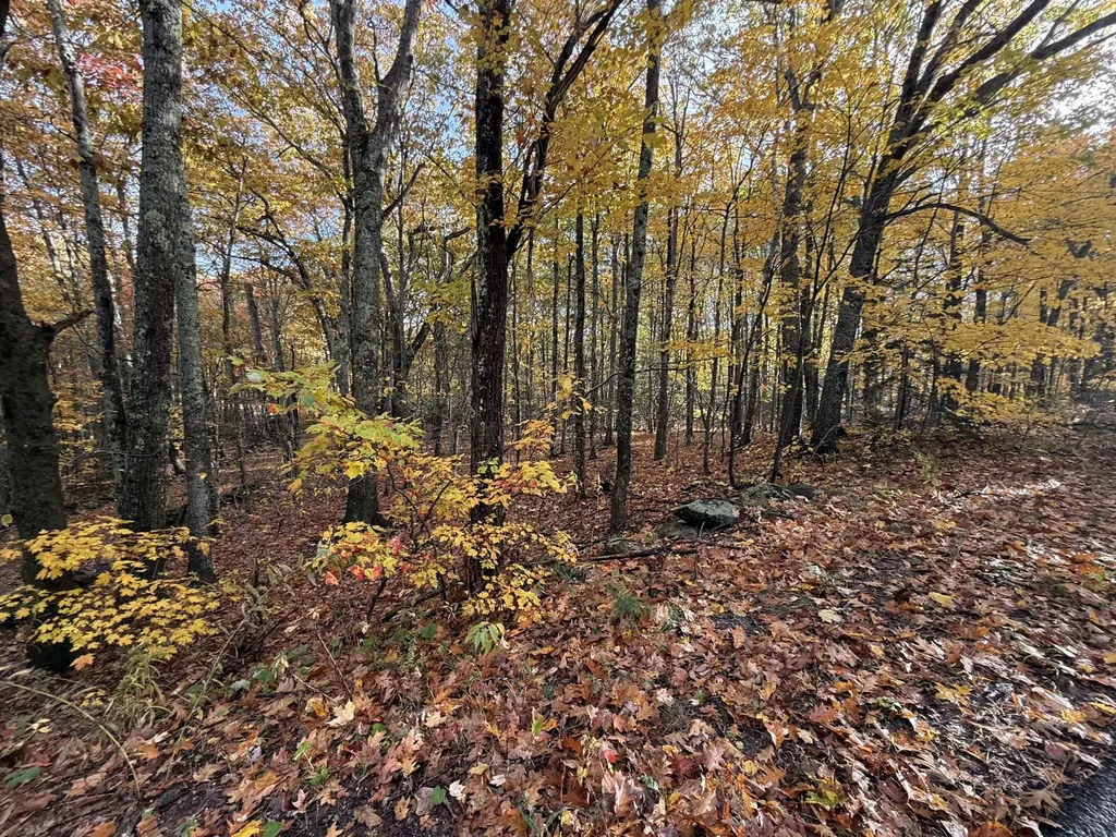 Tbd Map 15, Lot 150 Mt. Pleasant Street Rockport ME 04856