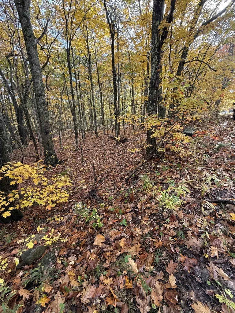 Tbd Map 15, Lot 150 Mt. Pleasant Street Rockport ME 04856