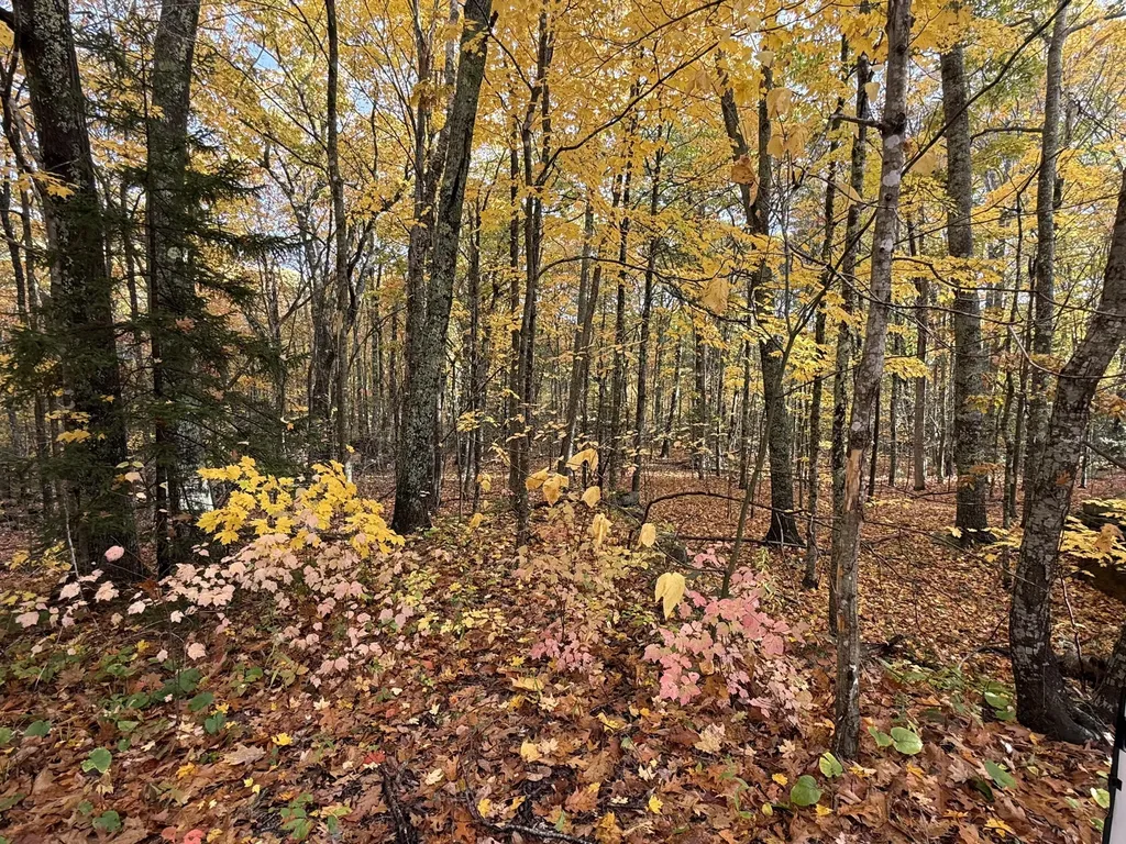 Tbd Map 15, Lot 150 Mt. Pleasant Street Rockport ME 04856