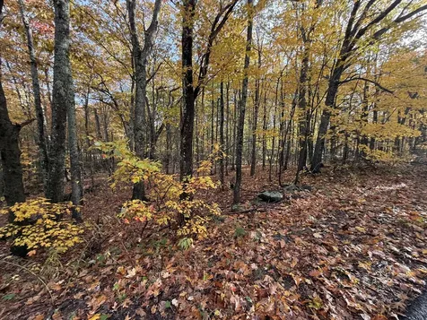 Tbd Map 15, Lot 150 Mt. Pleasant Street Rockport ME 04856