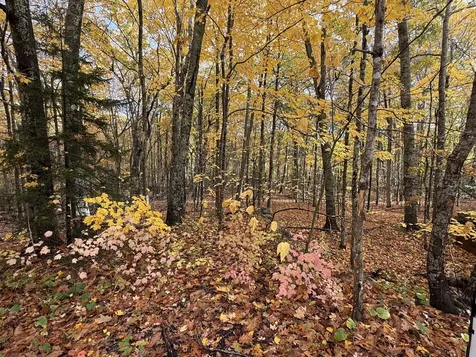 Tbd Map 15, Lot 150 Mount Pleasant Street Rockport ME 04856