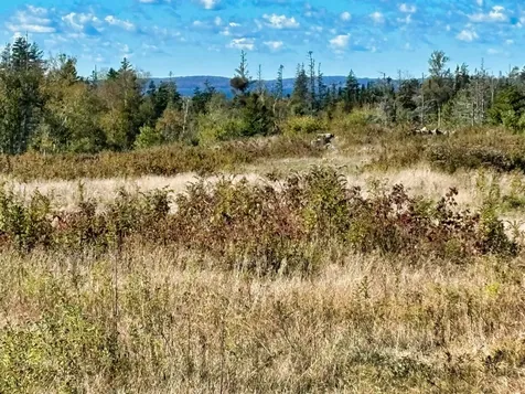 274 West District Road North Haven ME 04853