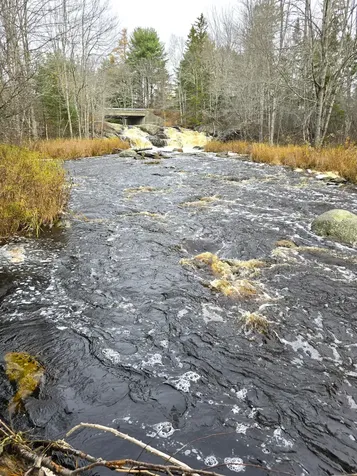425 Saco Road Columbia ME 04623