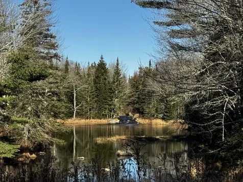 425 Saco Road Columbia ME 04623