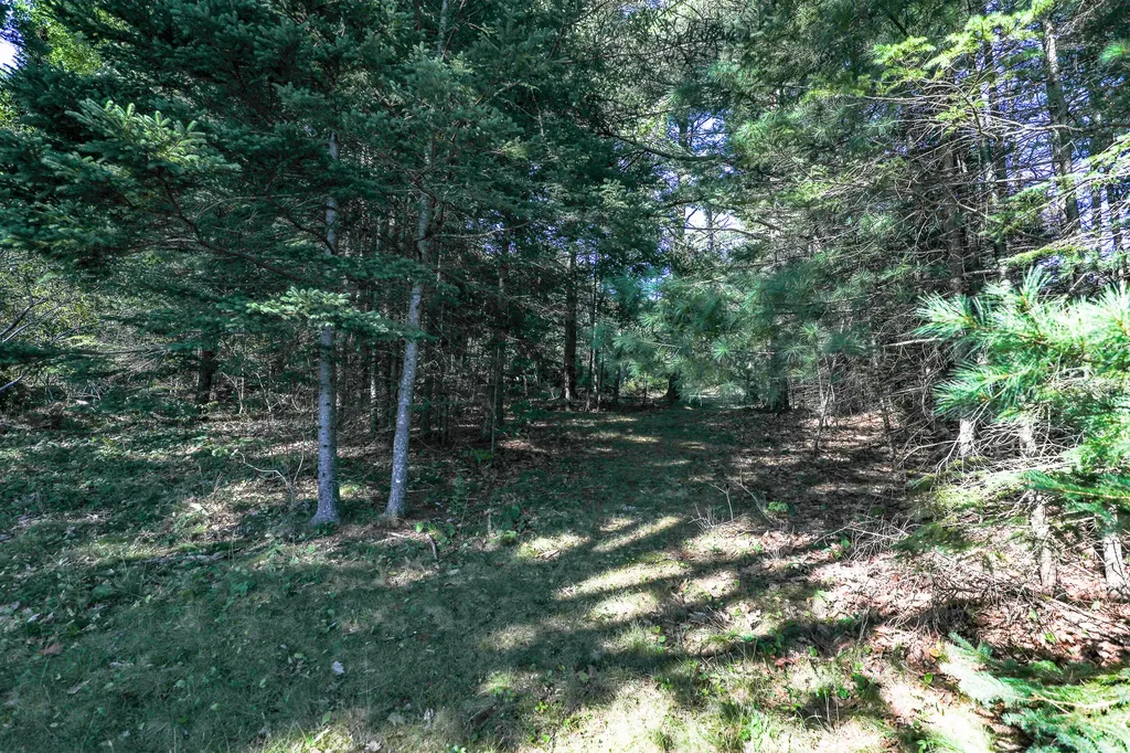 1022 Surry Road Surry ME 04684