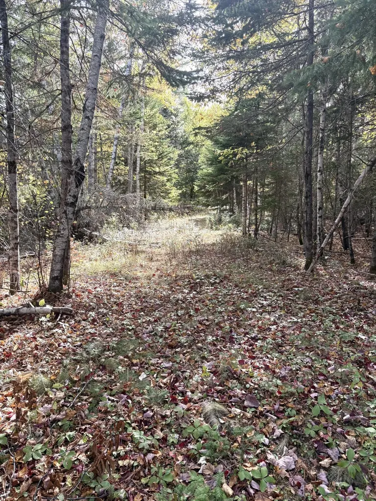 Lot 22 Off South Meadow & Roys Way Road Perry ME 04667