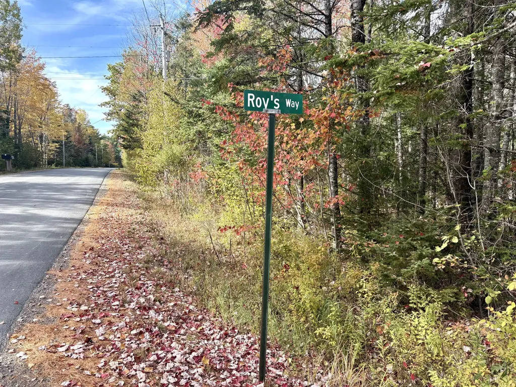 Lot 22 Off South Meadow & Roys Way Road Perry ME 04667