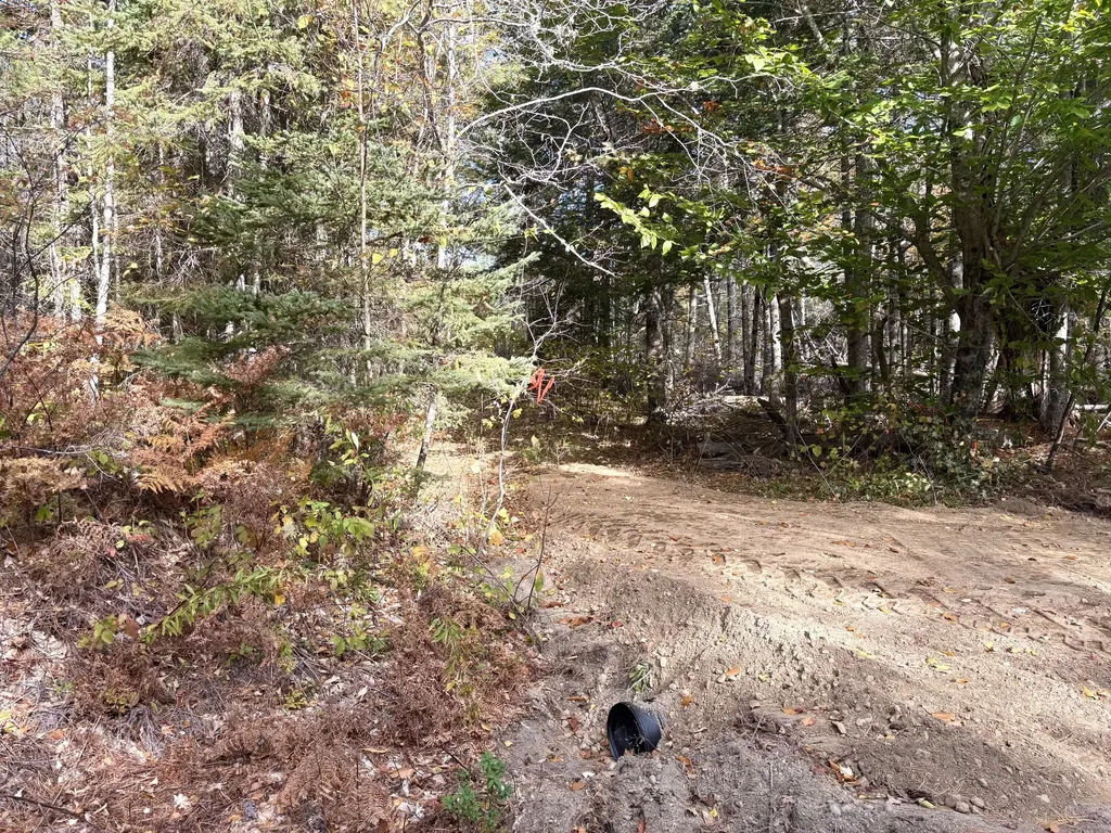 Lot 22 Off South Meadow & Roys Way Road Perry ME 04667