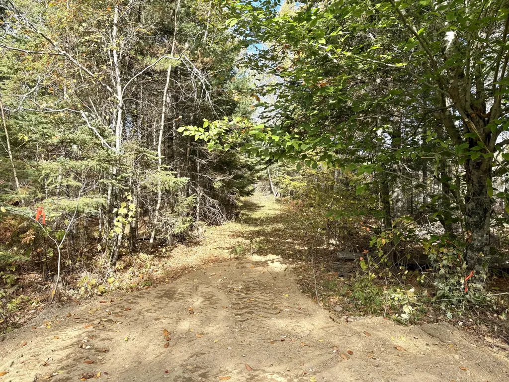 Lot 22 Off South Meadow & Roys Way Road Perry ME 04667