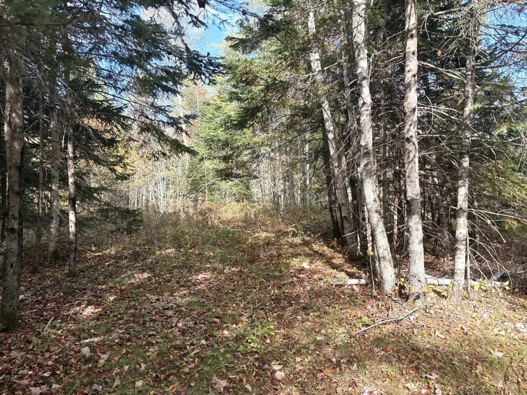 Lot 22 Off South Meadow & Roys Way Road Perry ME 04667