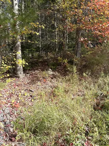 Lot 22 Off South Meadow & Roys Way Road Perry ME 04667