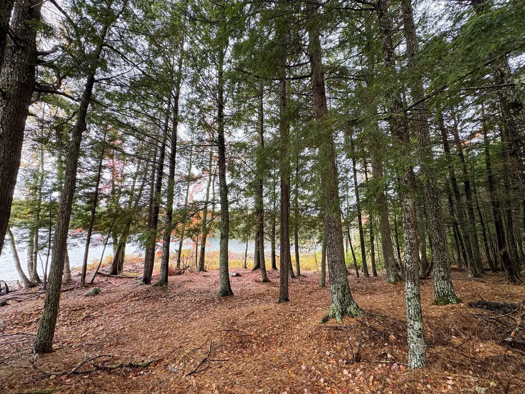 Map Pe002 Lot 17 Pukakon Twp ME 04487