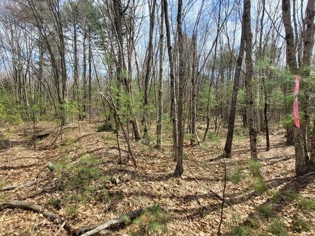 Lot #11B Sanford Road Wells ME 04090