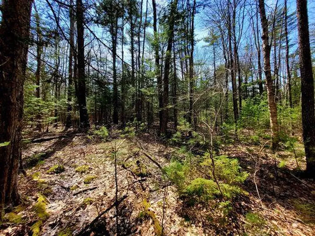 Lot #11B Sanford Road Wells ME 04090