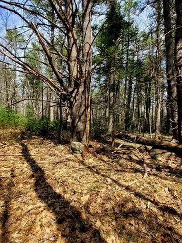 Lot #11B Sanford Road Wells ME 04090
