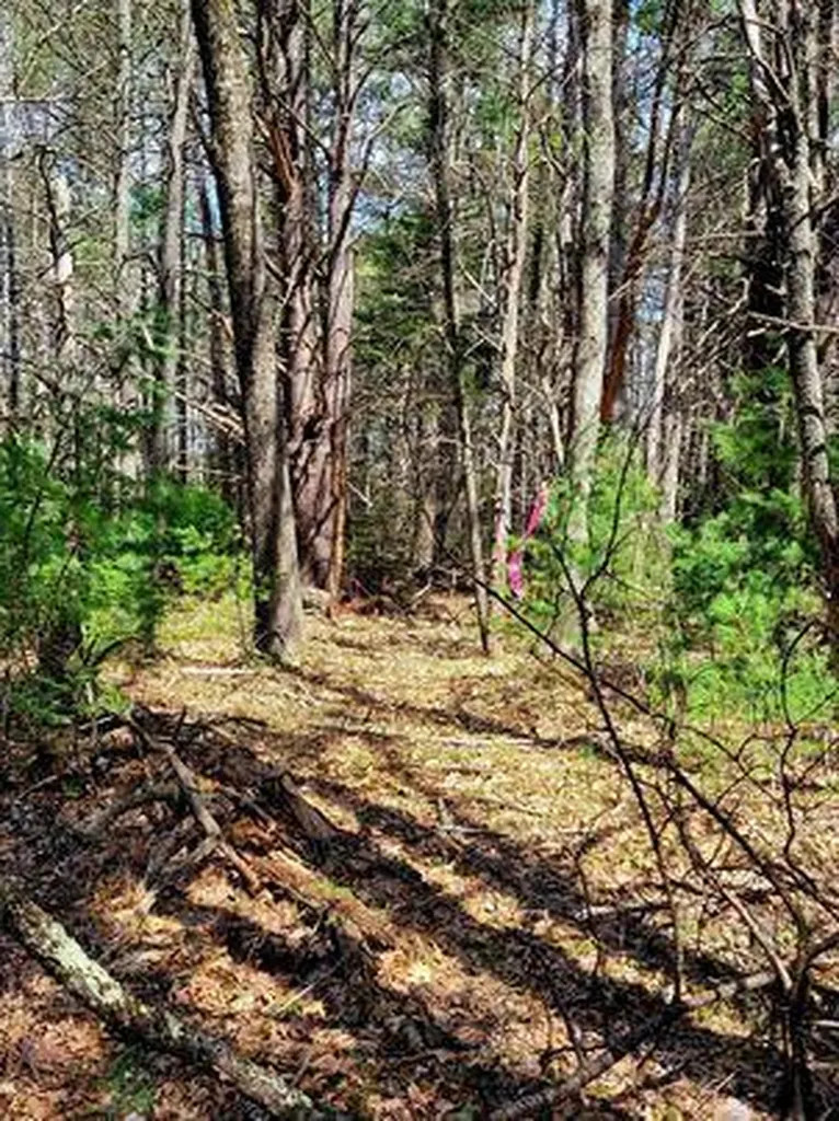 Lot #11B Sanford Road Wells ME 04090