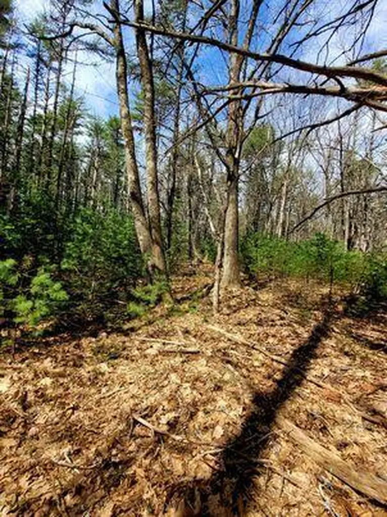 Lot #11B Sanford Road Wells ME 04090