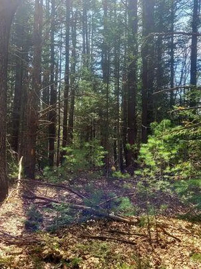 Lot #11B Sanford Road Wells ME 04090