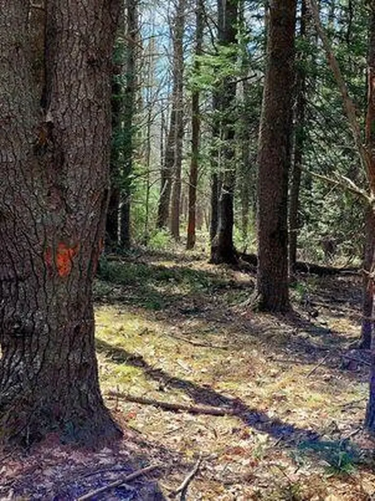 Lot #11B Sanford Road Wells ME 04090