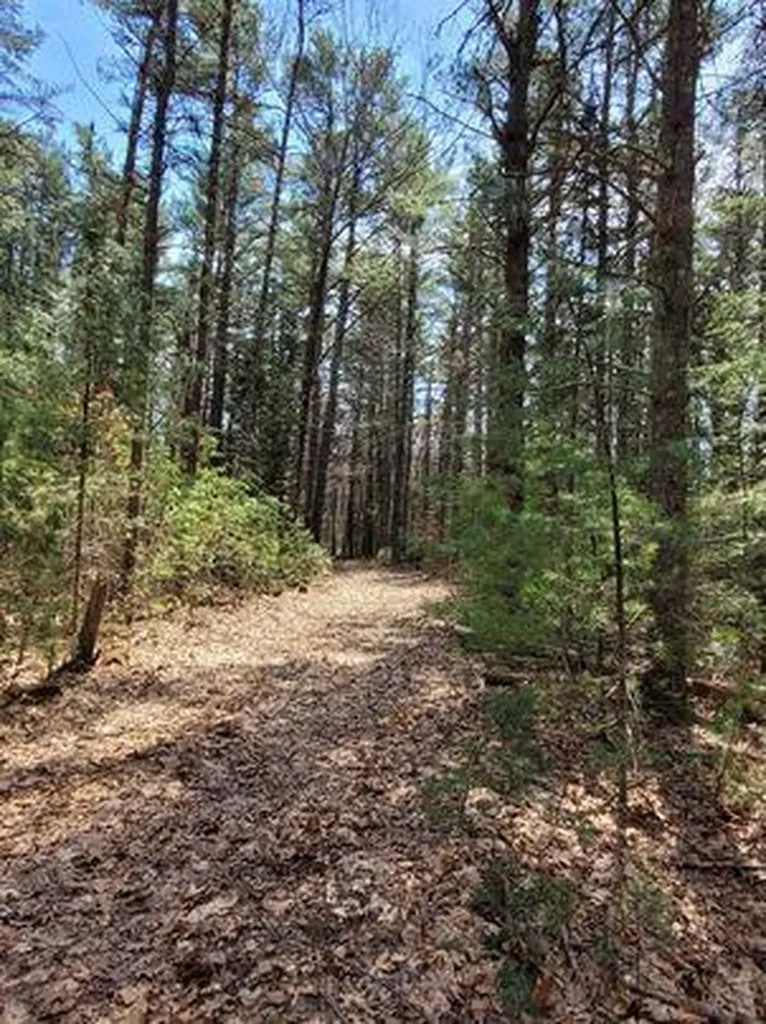 Lot #11B Sanford Road Wells ME 04090