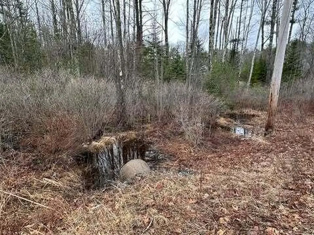 Lot #11B Sanford Road Wells ME 04090