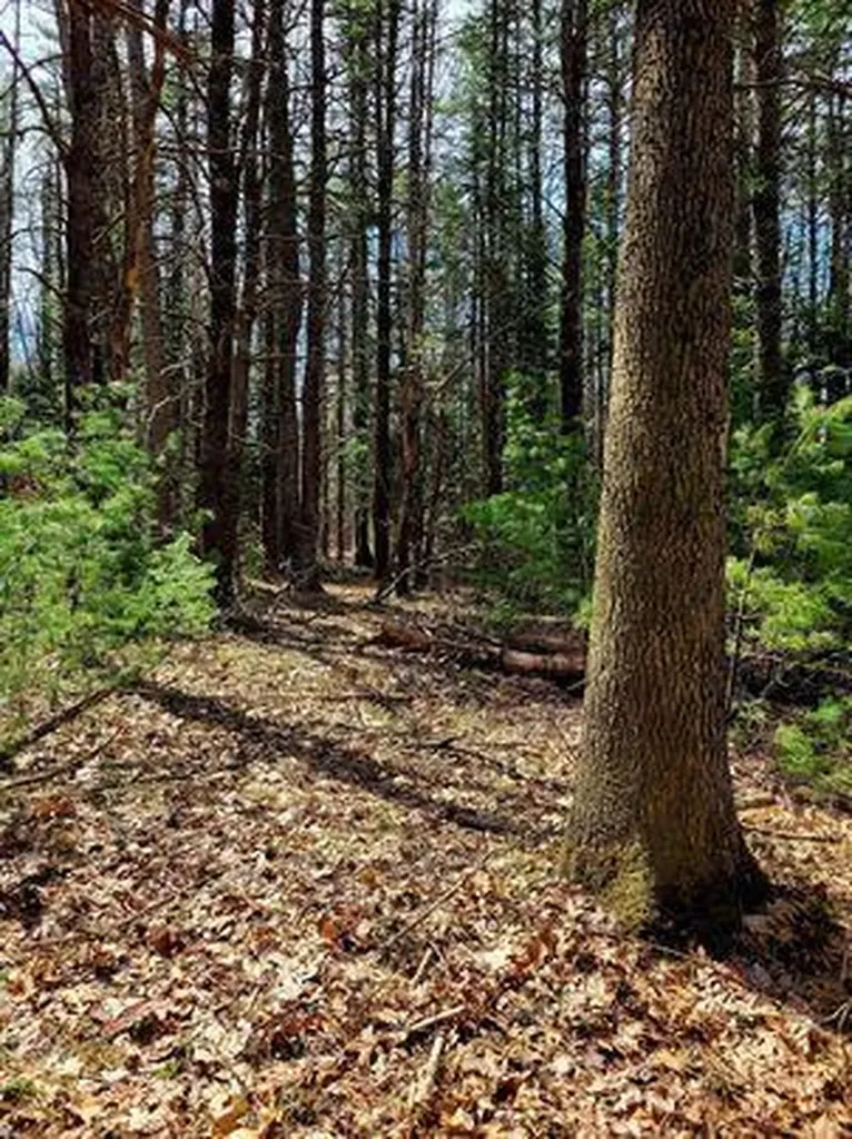 Lot #11B Sanford Road Wells ME 04090