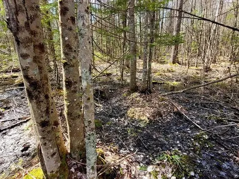 Lot #11B Sanford Road Wells ME 04090
