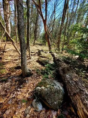 Lot #11B Sanford Road Wells ME 04090