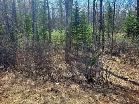 Lot #11B Sanford Road Wells ME 04090