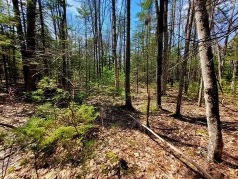 Lot #11B Sanford Road Wells ME 04090