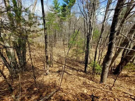 Lot #11B Sanford Road Wells ME 04090