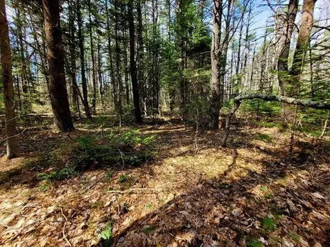 Lot #11B Sanford Road Wells ME 04090